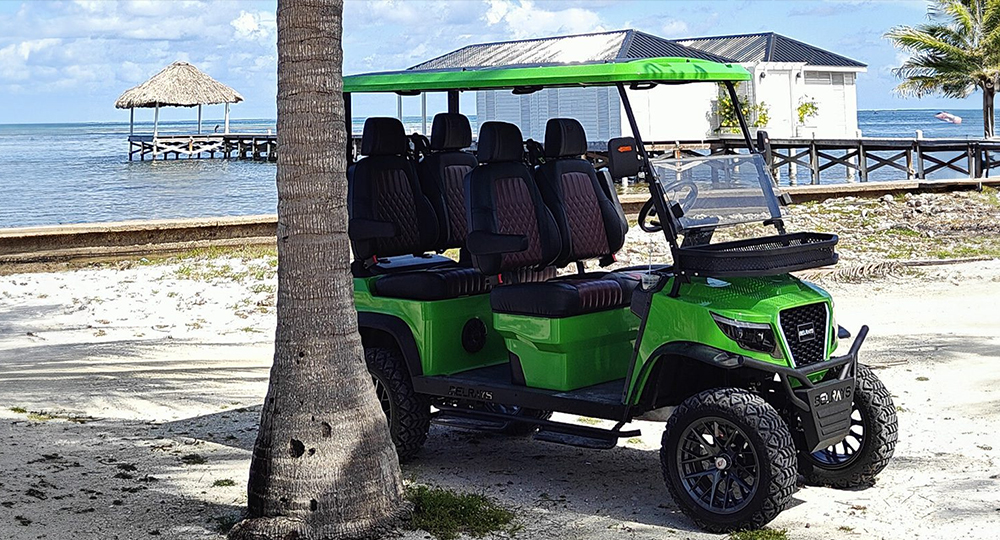 4-Seater Solar Elite